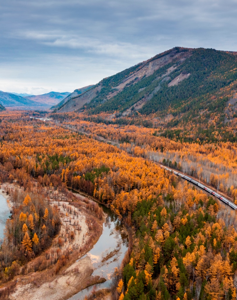 Устойчивое развитие
