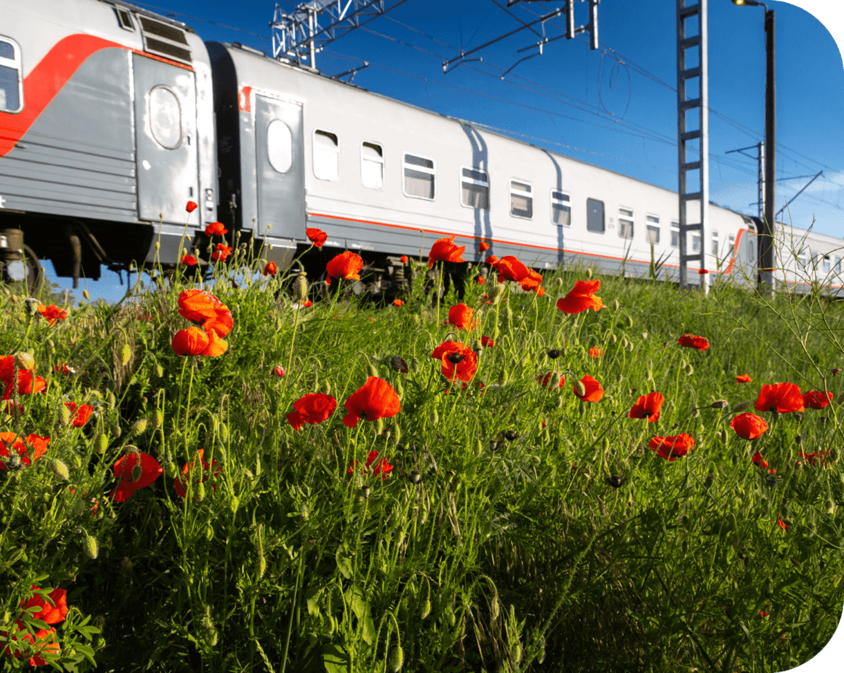 Подвижной состав, на переднем плане трова с цветами